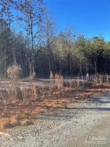 a view of a yard with a house