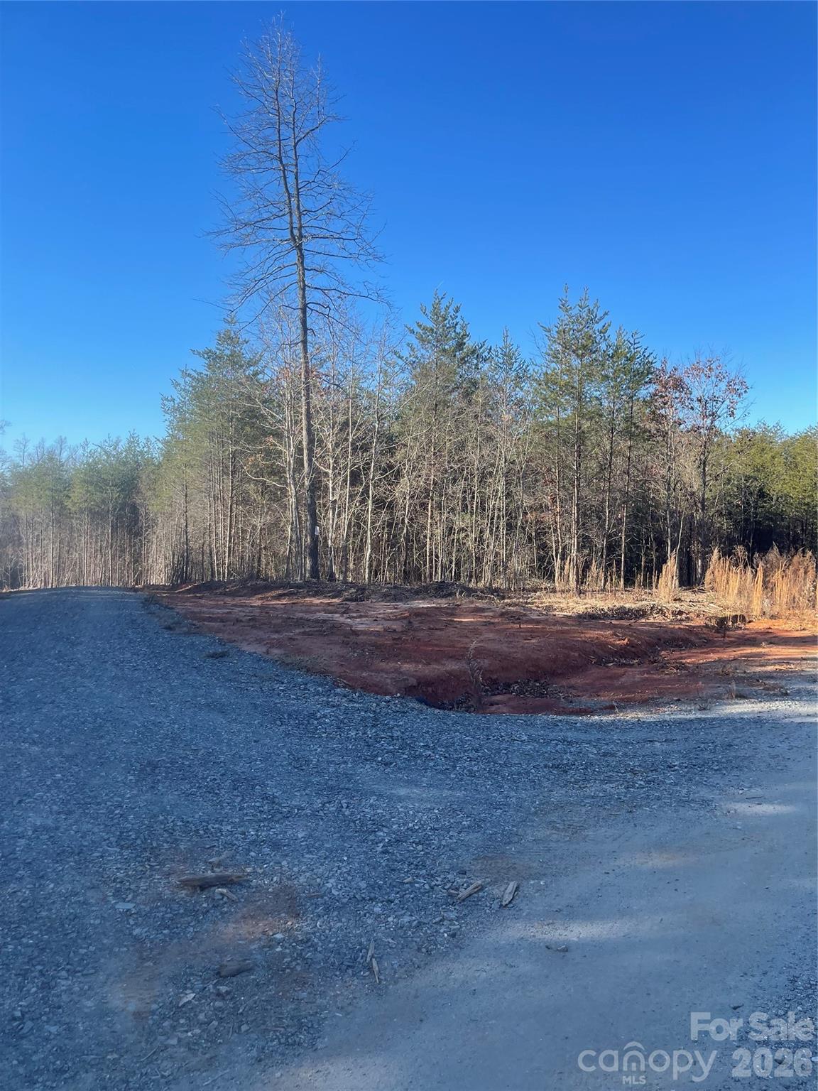 0 Springbrook Lane Mooresboro, NC 28114 - Photo 10 of 15