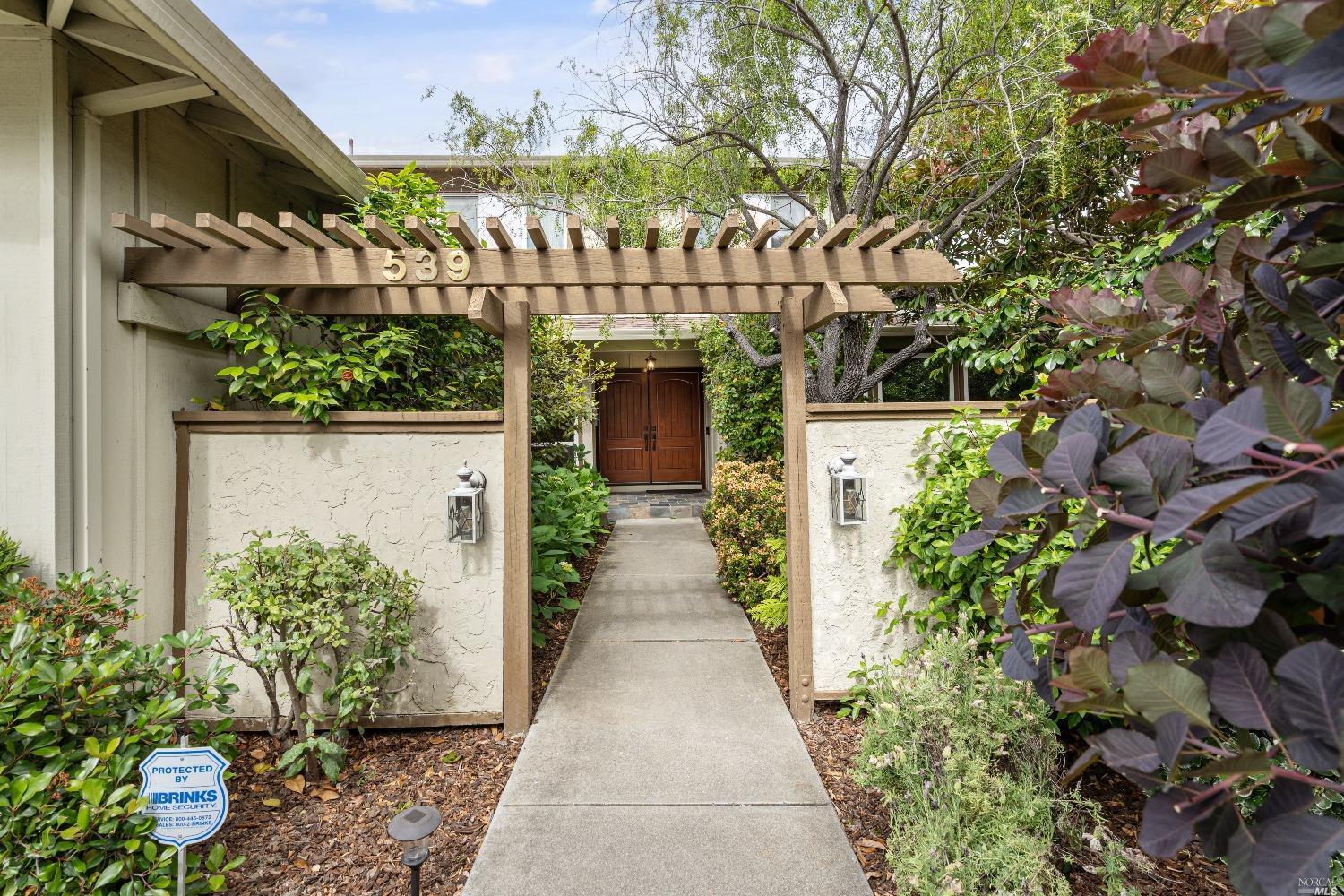 a view of a pathway along with potted plants