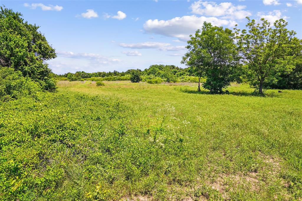 Tbd Schoolhouse Road Forestburg, TX 76239 - Photo 30 of 40 Gallery Image 30
