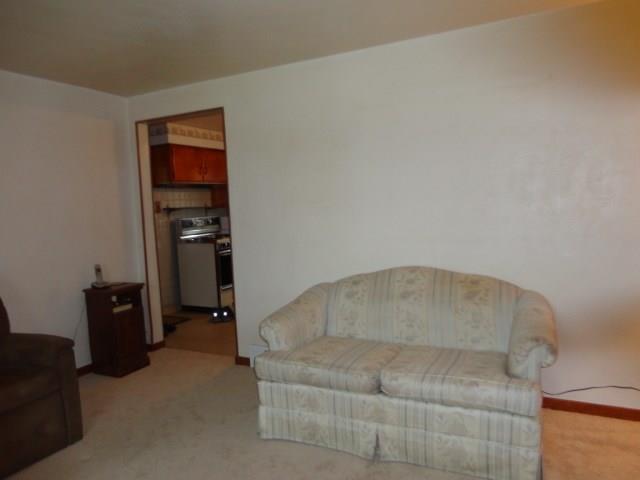 224 Lenore Drive McKees Rocks, PA 15136 - Photo 6 of 19