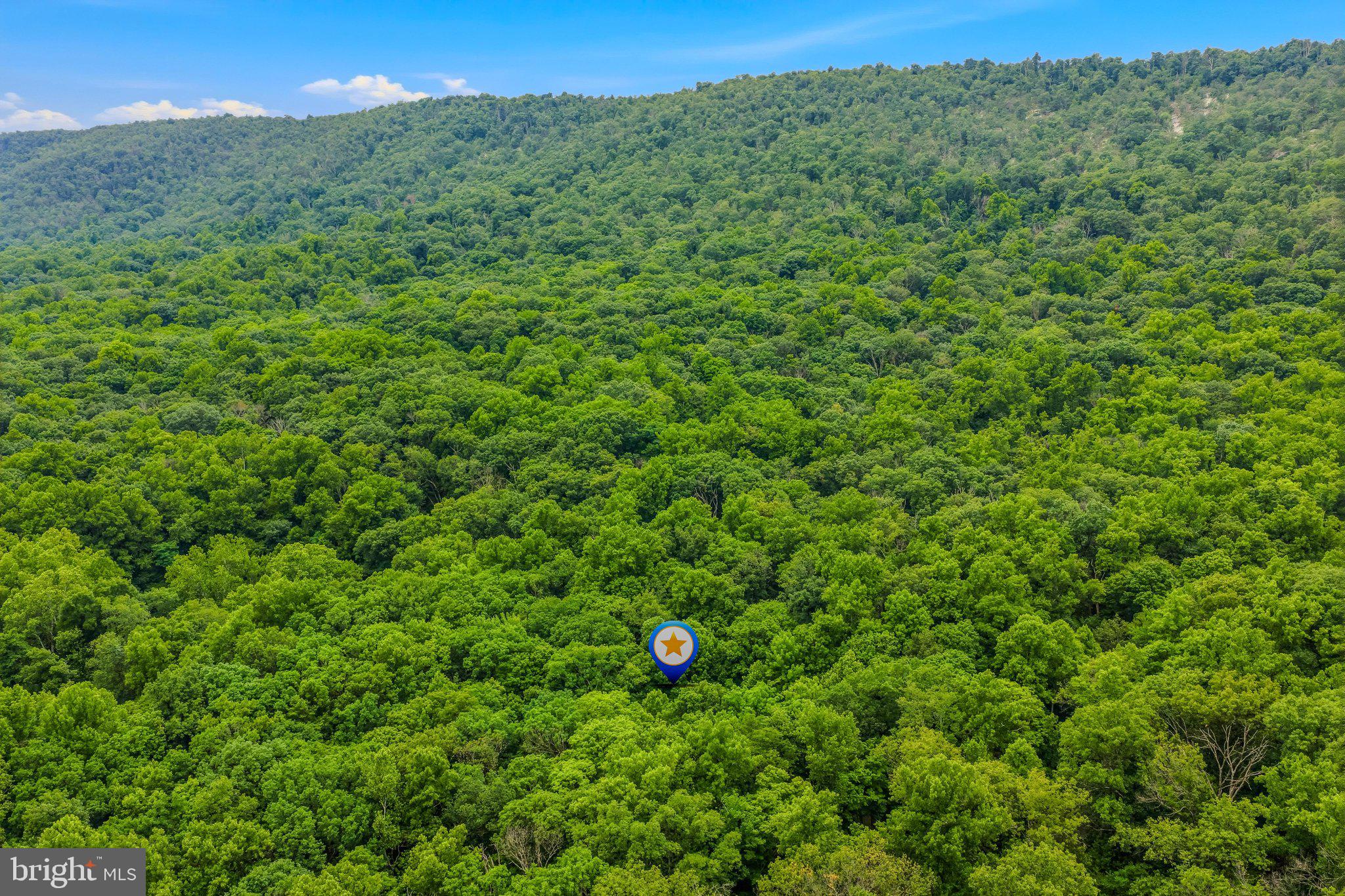 221 Mountainside Road Berkeley Springs, WV 25411 - Photo 44 of 53 Aerial View