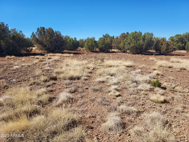 a view of a field with a tree in the background
