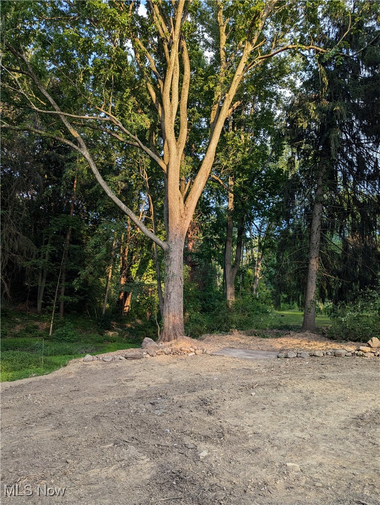 8265 Stow Road Hudson, OH 44236 - Photo 9 of 23 View of yard