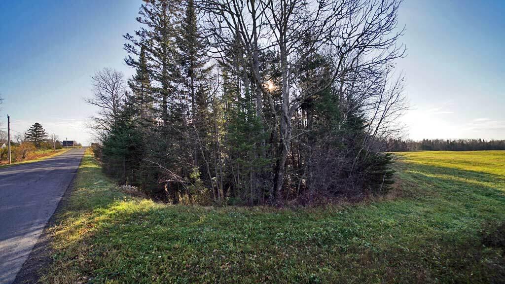 8 West Road Monticello, ME 04760 - Photo 36 of 43 west-rd-monticello-land-far