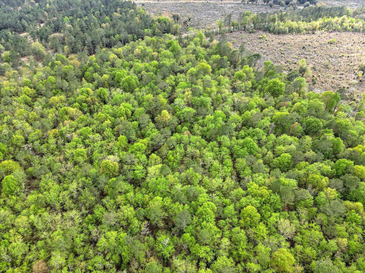 0 Millers Pond Road, Unit LOT 2 Salley, SC 29137 - Photo 12 of 13