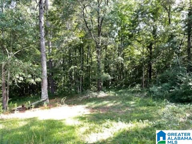 1801 Old Russellville Road Jasper, AL 35503 - Photo 11 of 17