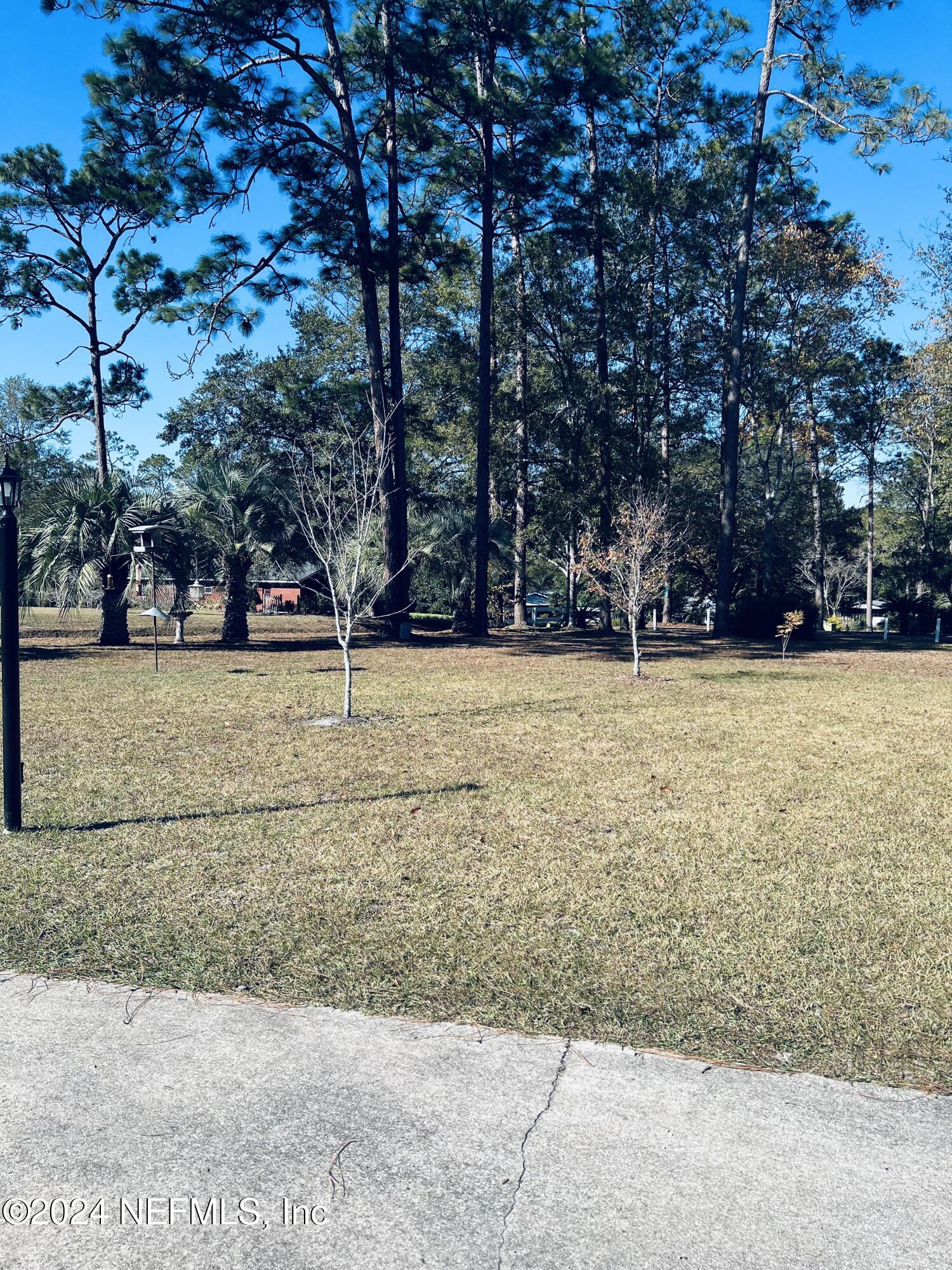 11375 Pine Loop Glen St. Mary, FL 32040 - Photo 16 of 17 a view of yard with large trees