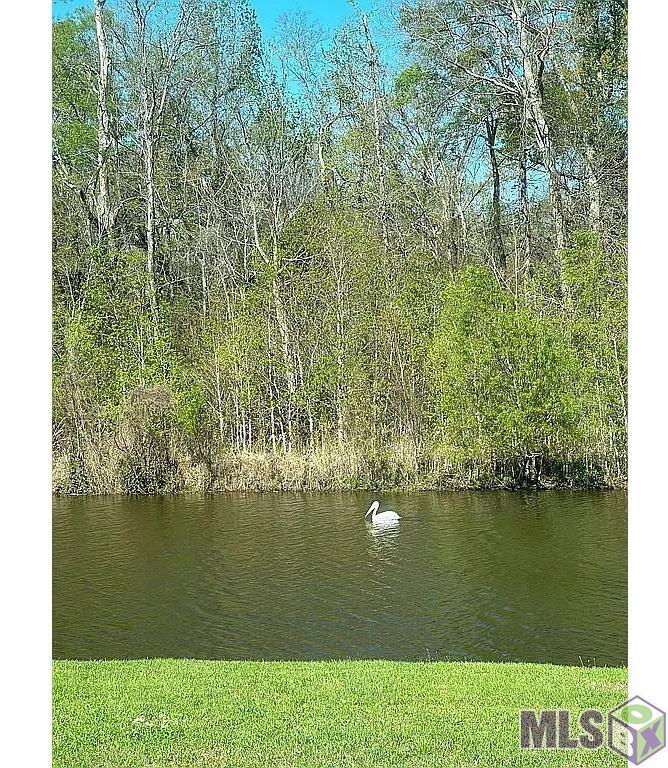 1042 Shadow Bluff Drive Baton Rouge, LA 70820 - Photo 12 of 25 Gallery Image 12