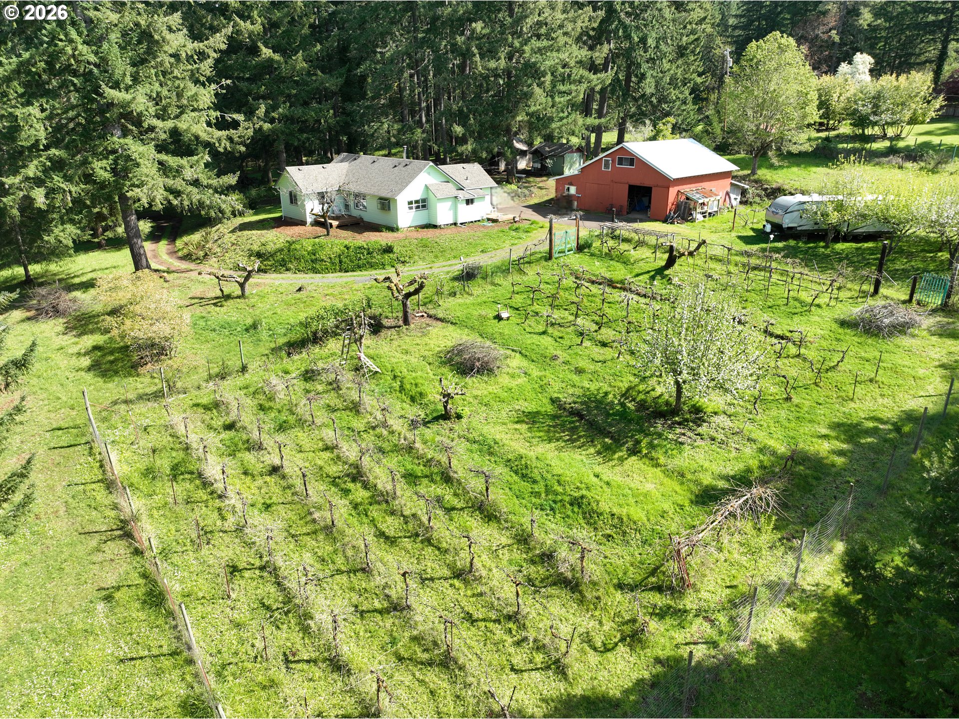 40168 Booth Kelly Road Springfield, OR 97478 - Photo 2 of 37