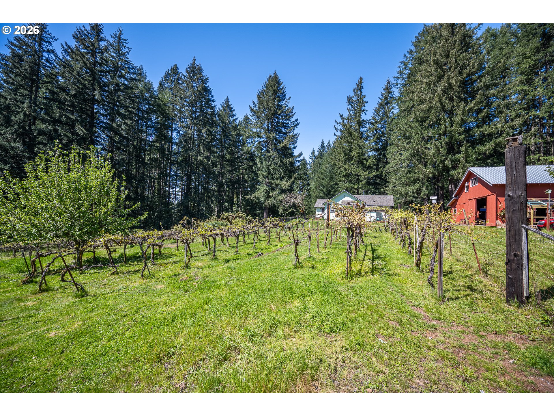 40168 Booth Kelly Road Springfield, OR 97478 - Photo 32 of 37