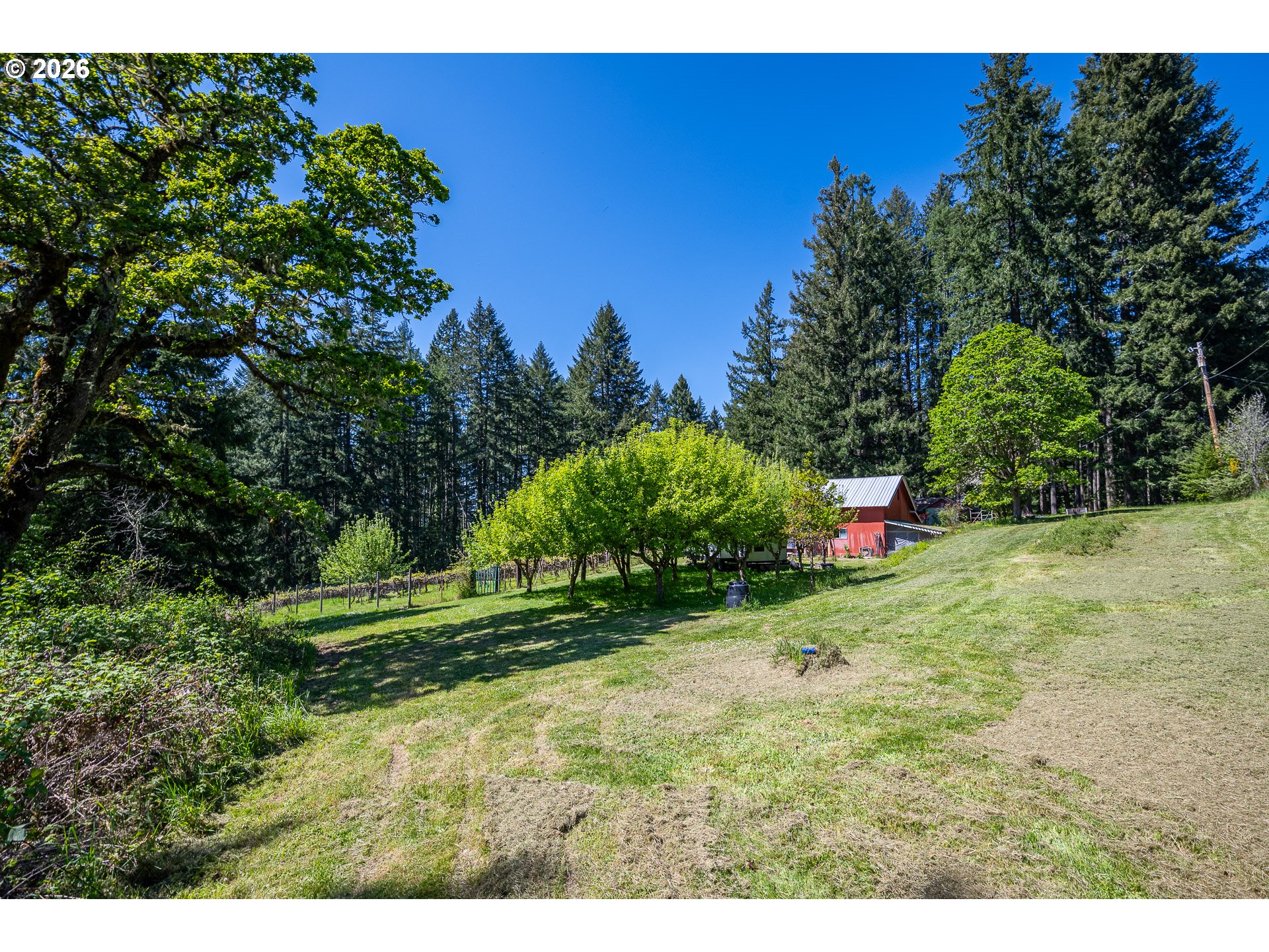 40168 Booth Kelly Road Springfield, OR 97478 - Photo 34 of 37