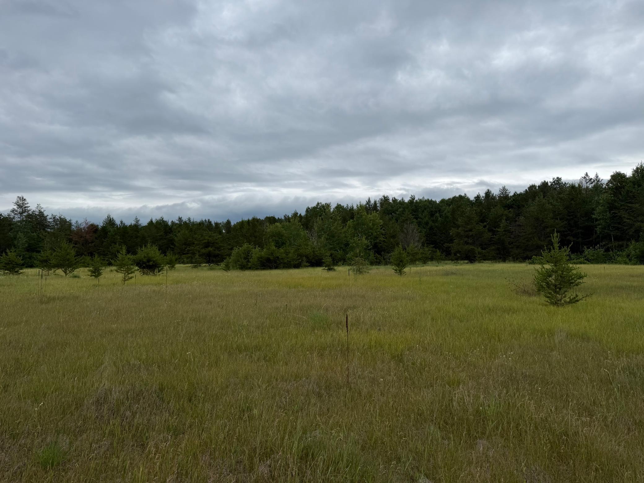 Tbd 350th Street Sebeka, MN 56477 - Photo 76 of 100