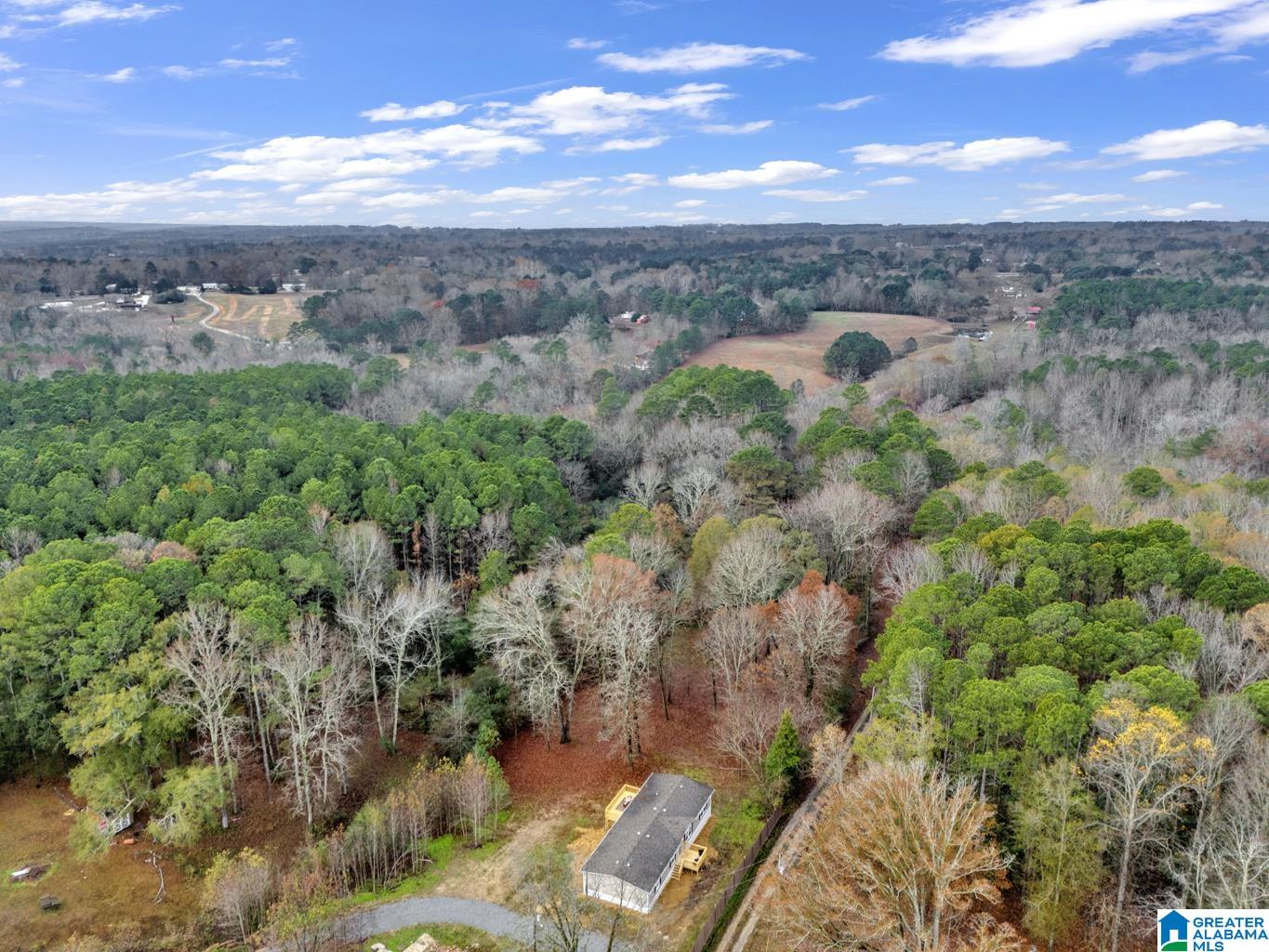 9722 Corner School Road Warrior, AL 35180 - Photo 42 of 43