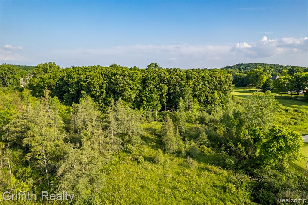 4433 Brighton Road Howell, MI 48843 - Photo 6 of 29