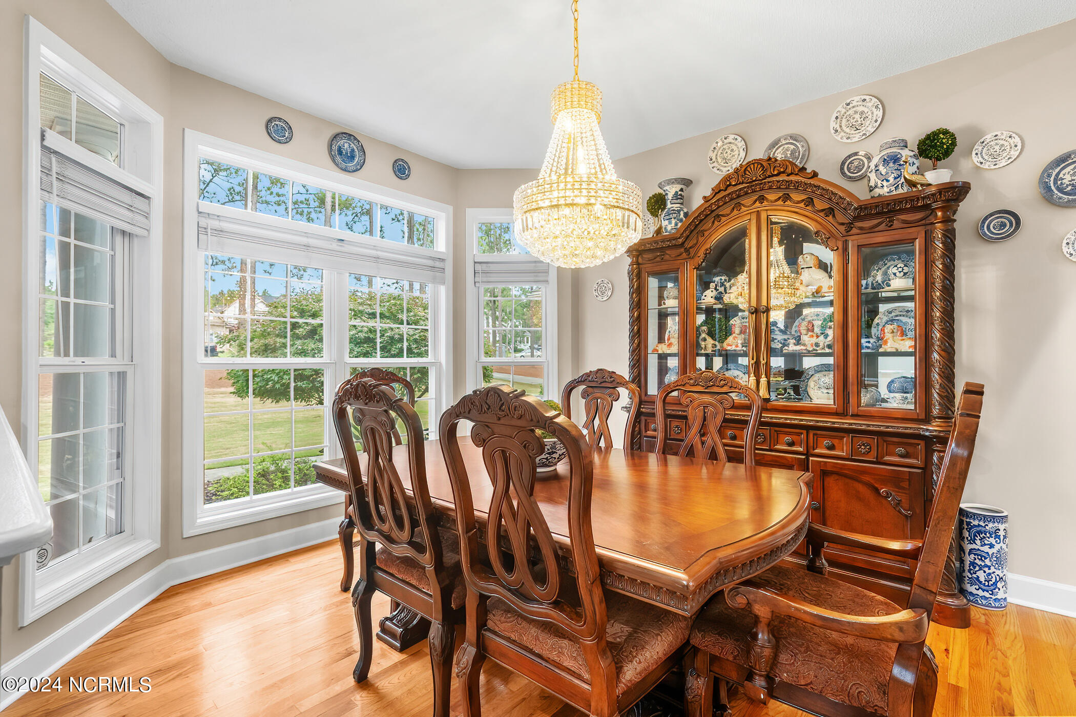 203 Beane Run Rockingham, NC 28379 - Photo 19 of 41 RS 1 DSC07521