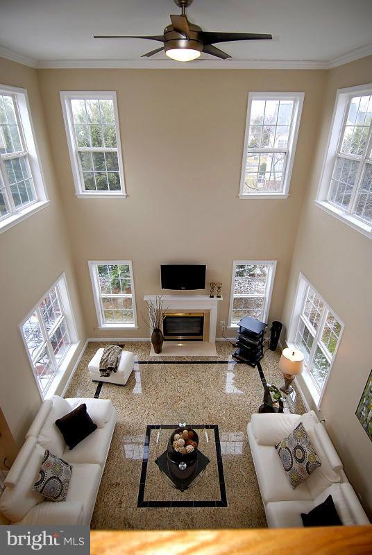 6398 True Lane Springfield, VA 22150 - Photo 21 of 30 View