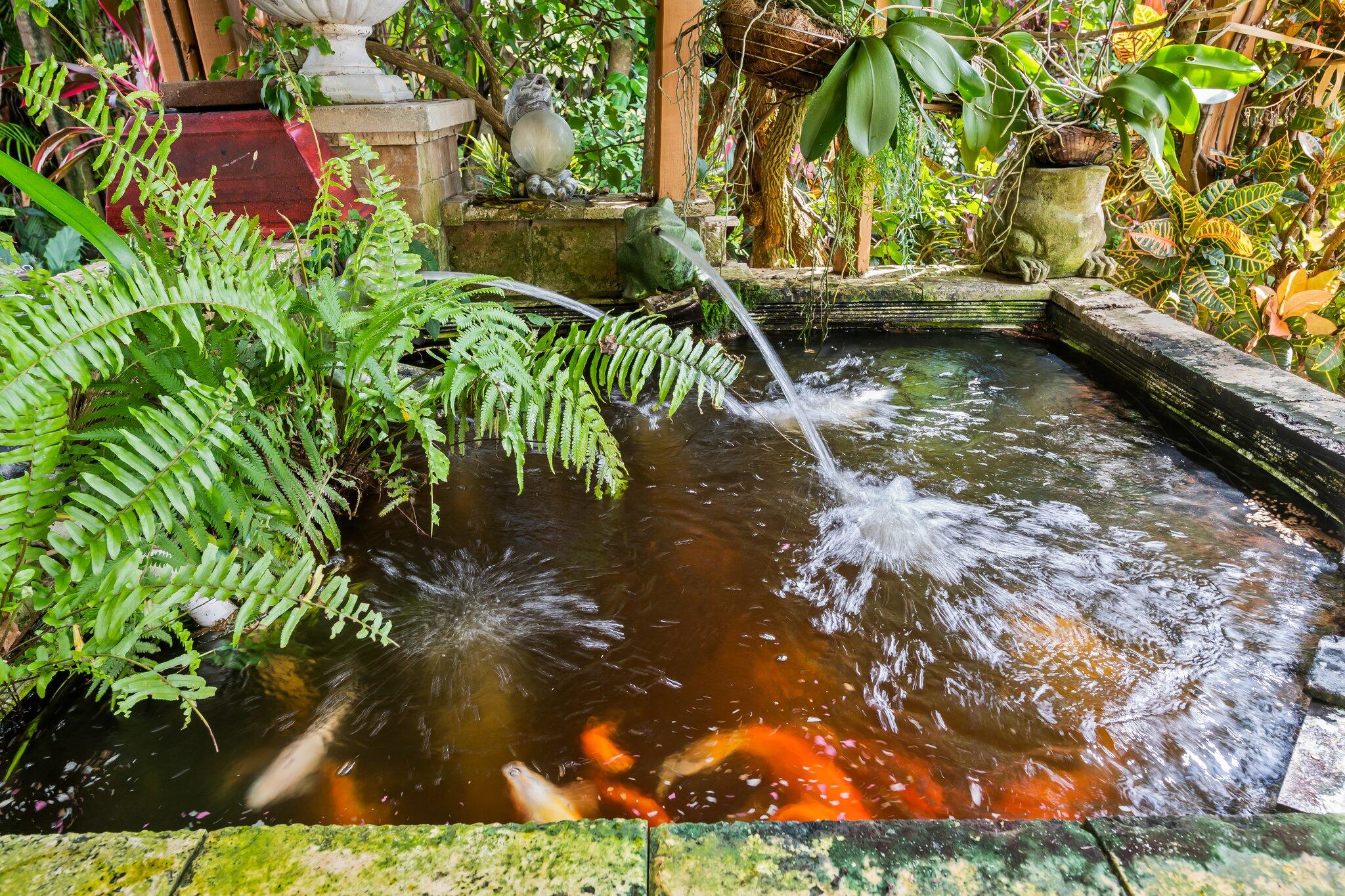 21167 Falls Ridge Way Boca Raton, FL 33428 - Photo 8 of 72 Koi Pond