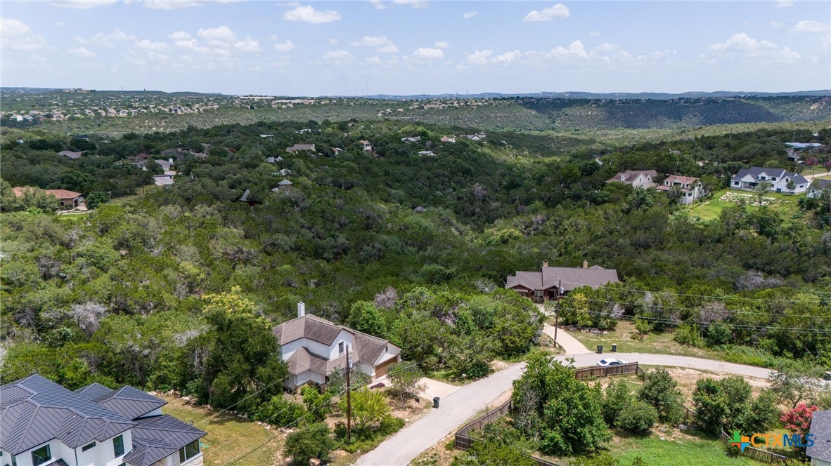 14422 Tuscola Circle Austin, TX 78734 - Photo 8 of 22 an aerial view of green landscape with trees houses and mountain view