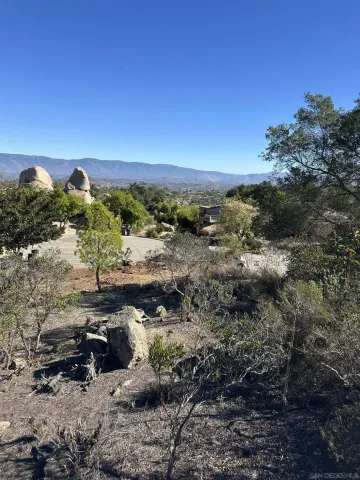 a view of a lake with a mountain