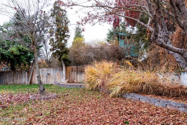 a view of a garden with a bench