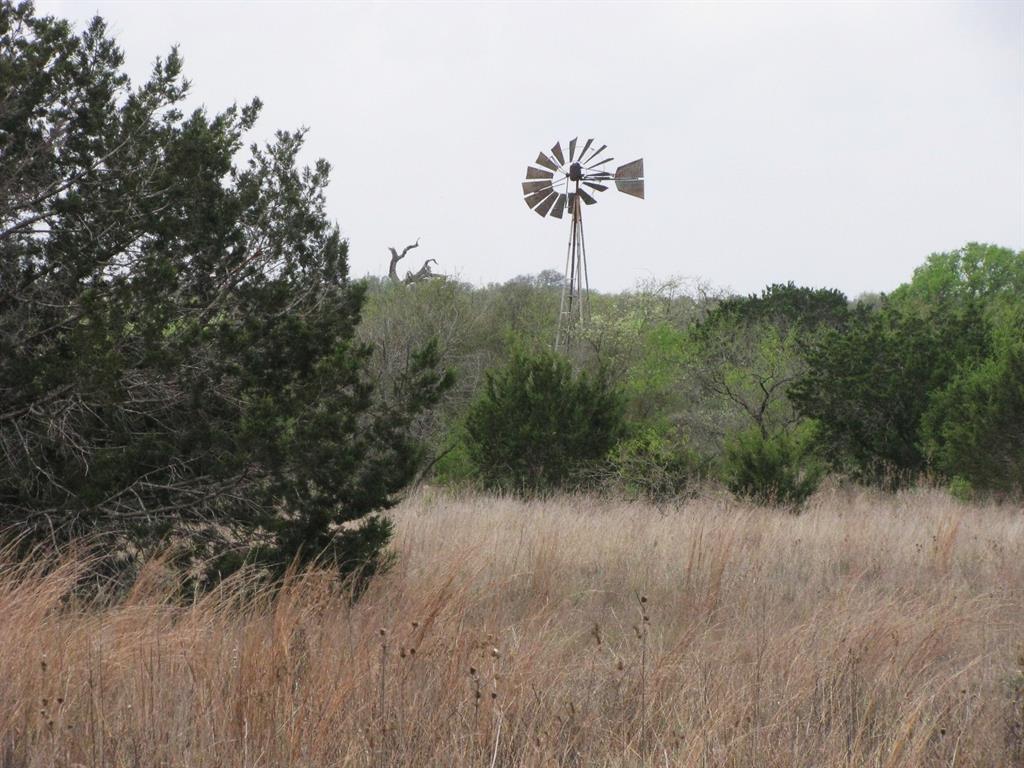 5448 County Road 182 Jonesboro, TX 76538 - Photo 12 of 36