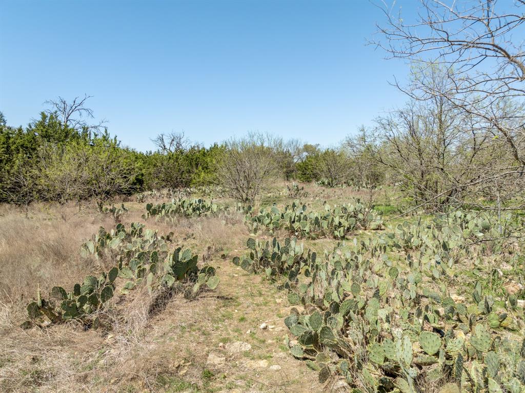 5448 County Road 182 Jonesboro, TX 76538 - Photo 14 of 36