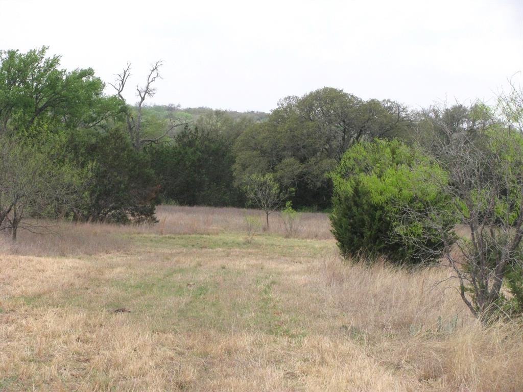 5448 County Road 182 Jonesboro, TX 76538 - Photo 18 of 36