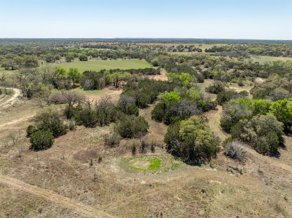 5448 County Road 182 Jonesboro, TX 76538 - Photo 19 of 36