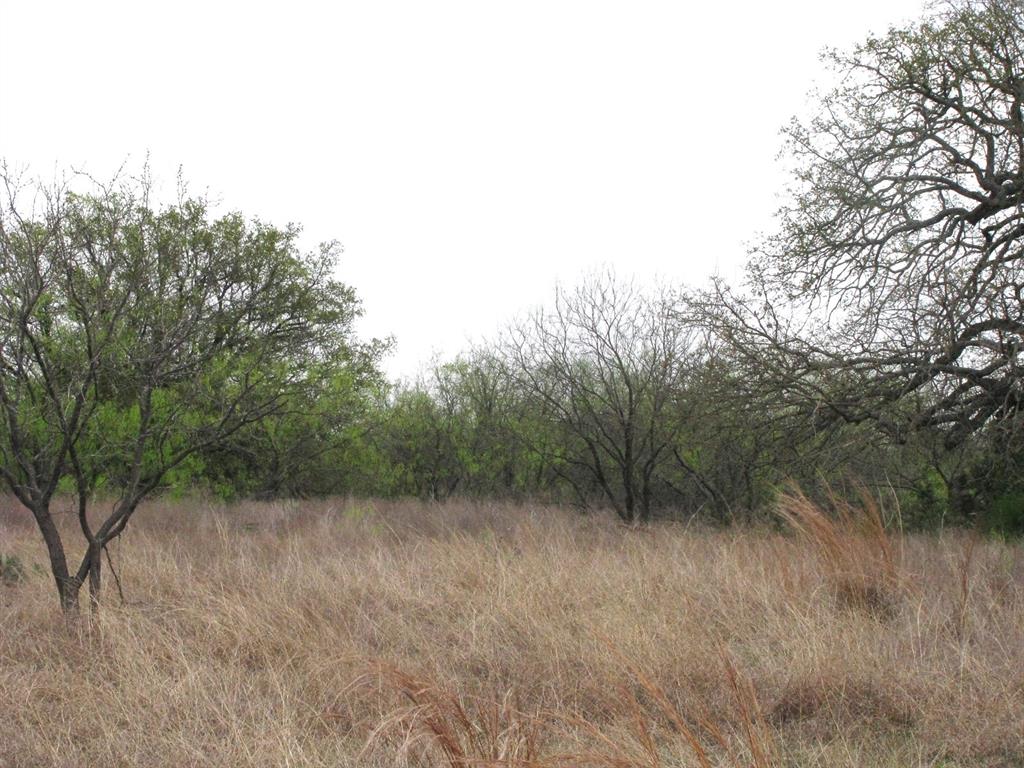 5448 County Road 182 Jonesboro, TX 76538 - Photo 24 of 36