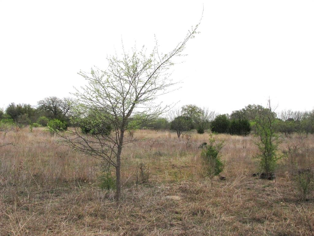 5448 County Road 182 Jonesboro, TX 76538 - Photo 26 of 36
