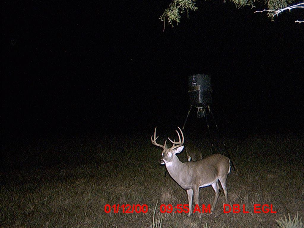 5448 County Road 182 Jonesboro, TX 76538 - Photo 27 of 36