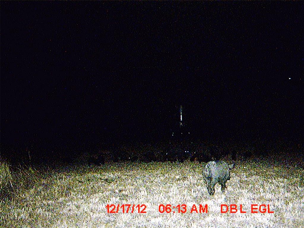 5448 County Road 182 Jonesboro, TX 76538 - Photo 28 of 36