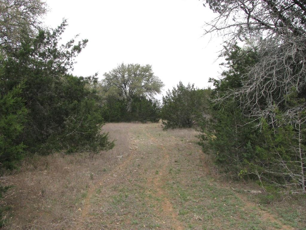 5448 County Road 182 Jonesboro, TX 76538 - Photo 33 of 36