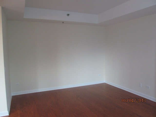 1841 South Calumet Avenue, Unit T6 Chicago, IL 60616 - Photo 3 of 11