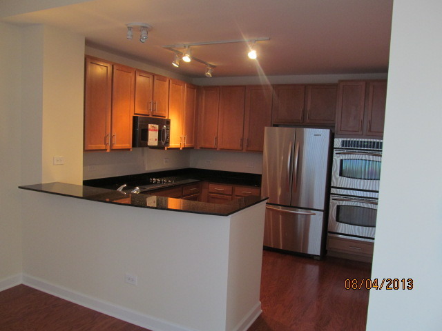 1841 South Calumet Avenue, Unit T6 Chicago, IL 60616 - Photo 4 of 11