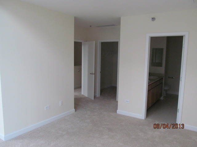 1841 South Calumet Avenue, Unit T6 Chicago, IL 60616 - Photo 6 of 11