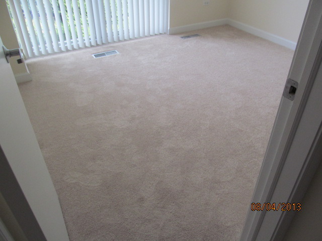 1841 South Calumet Avenue, Unit T6 Chicago, IL 60616 - Photo 10 of 11