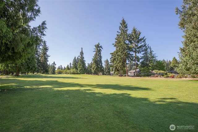 a view of an ocean and trees