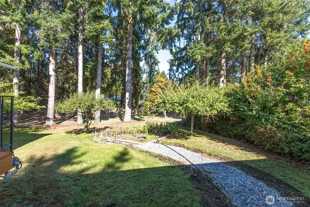 a view of a backyard with large trees