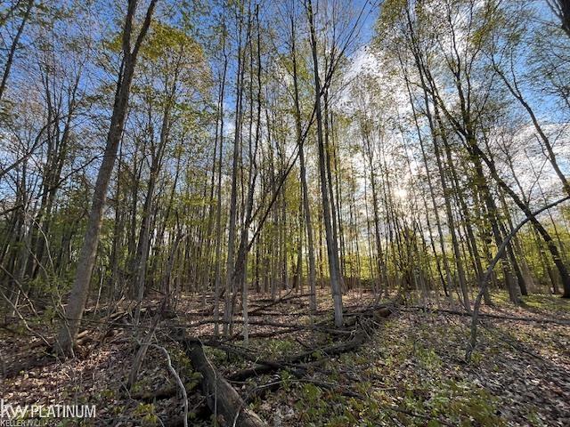 0 Fox Ridge Lane Allenton, MI 48002 - Photo 11 of 17