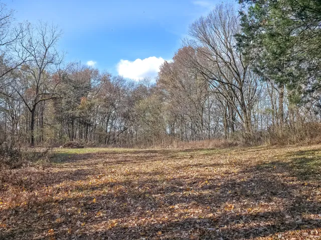 a view of a yard with trees
