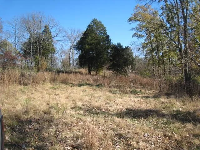 a view of dirt yard with a large tree