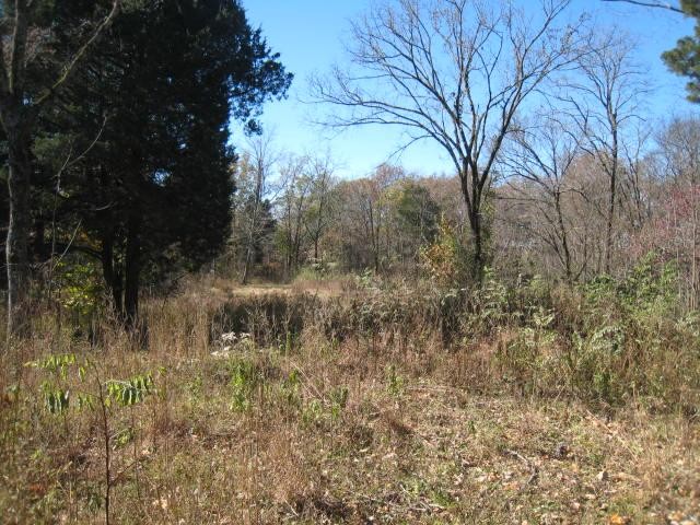 0 Toll Dugger Road Culleoka, TN 38451 - Photo 19 of 93 a view of a lake view