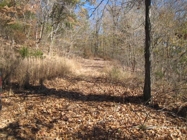 0 Toll Dugger Road Culleoka, TN 38451 - Photo 21 of 93 a view of a yard with large trees