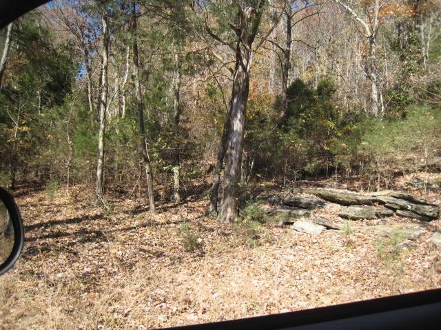 0 Toll Dugger Road Culleoka, TN 38451 - Photo 22 of 93