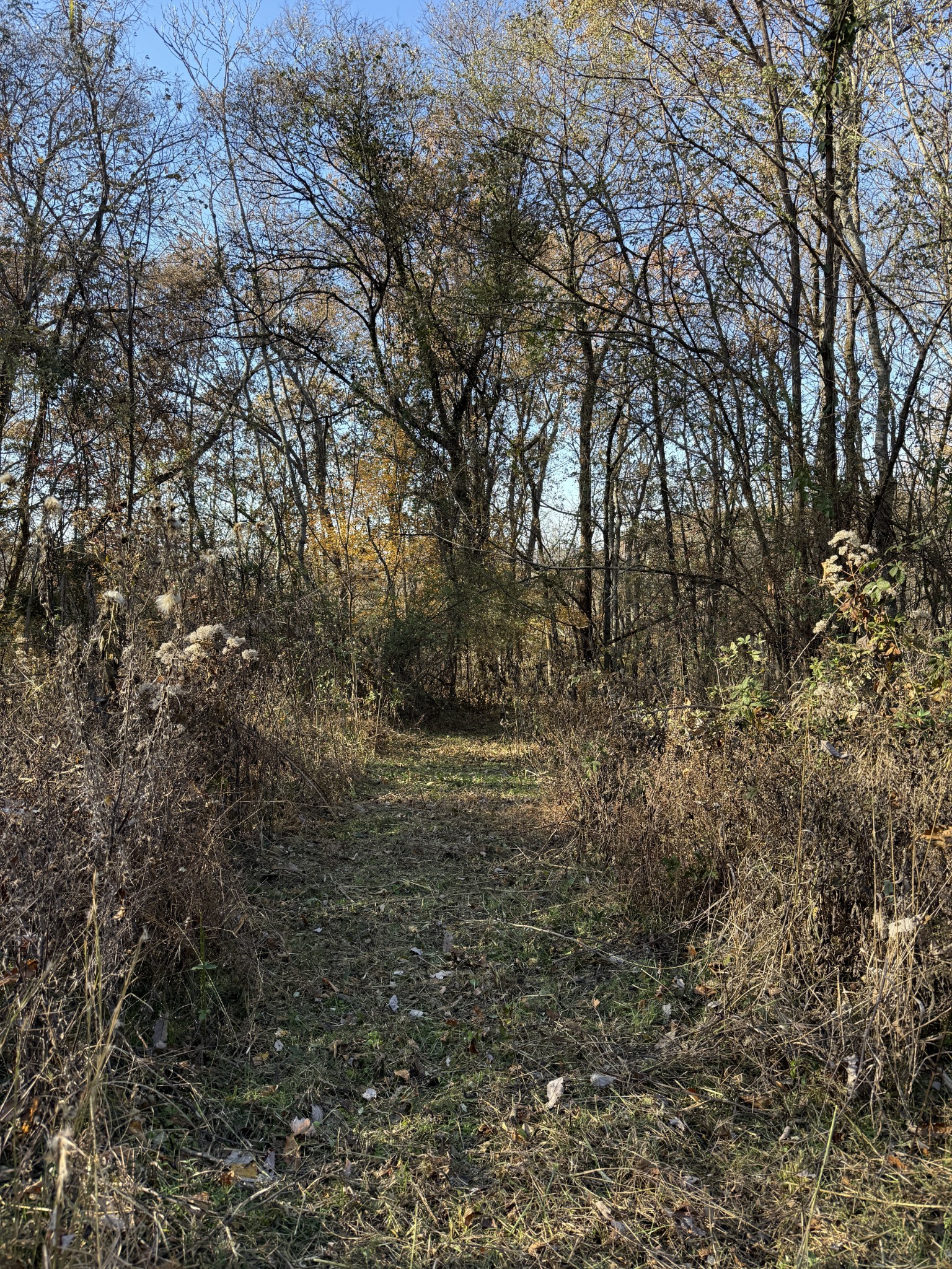 0 Toll Dugger Road Culleoka, TN 38451 - Photo 24 of 93