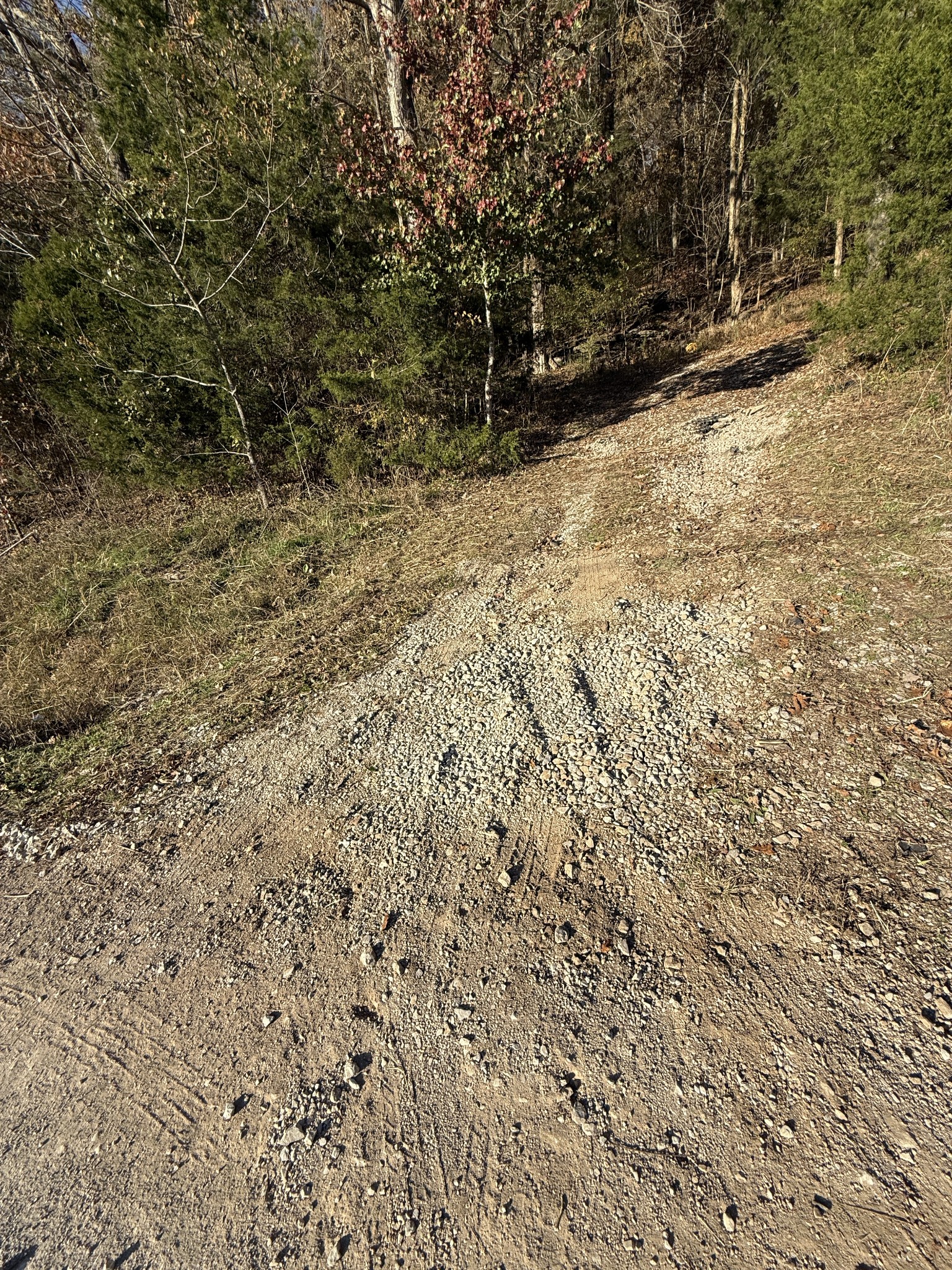 0 Toll Dugger Road Culleoka, TN 38451 - Photo 33 of 93 a view of empty space and a building