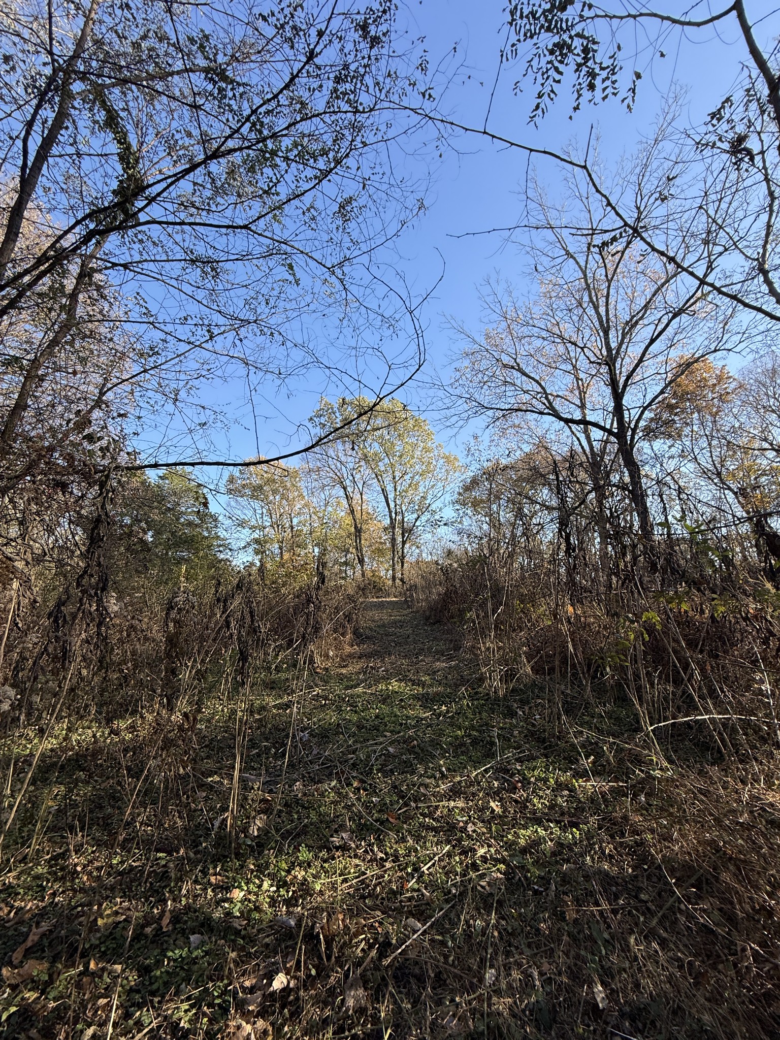 0 Toll Dugger Road Culleoka, TN 38451 - Photo 37 of 93