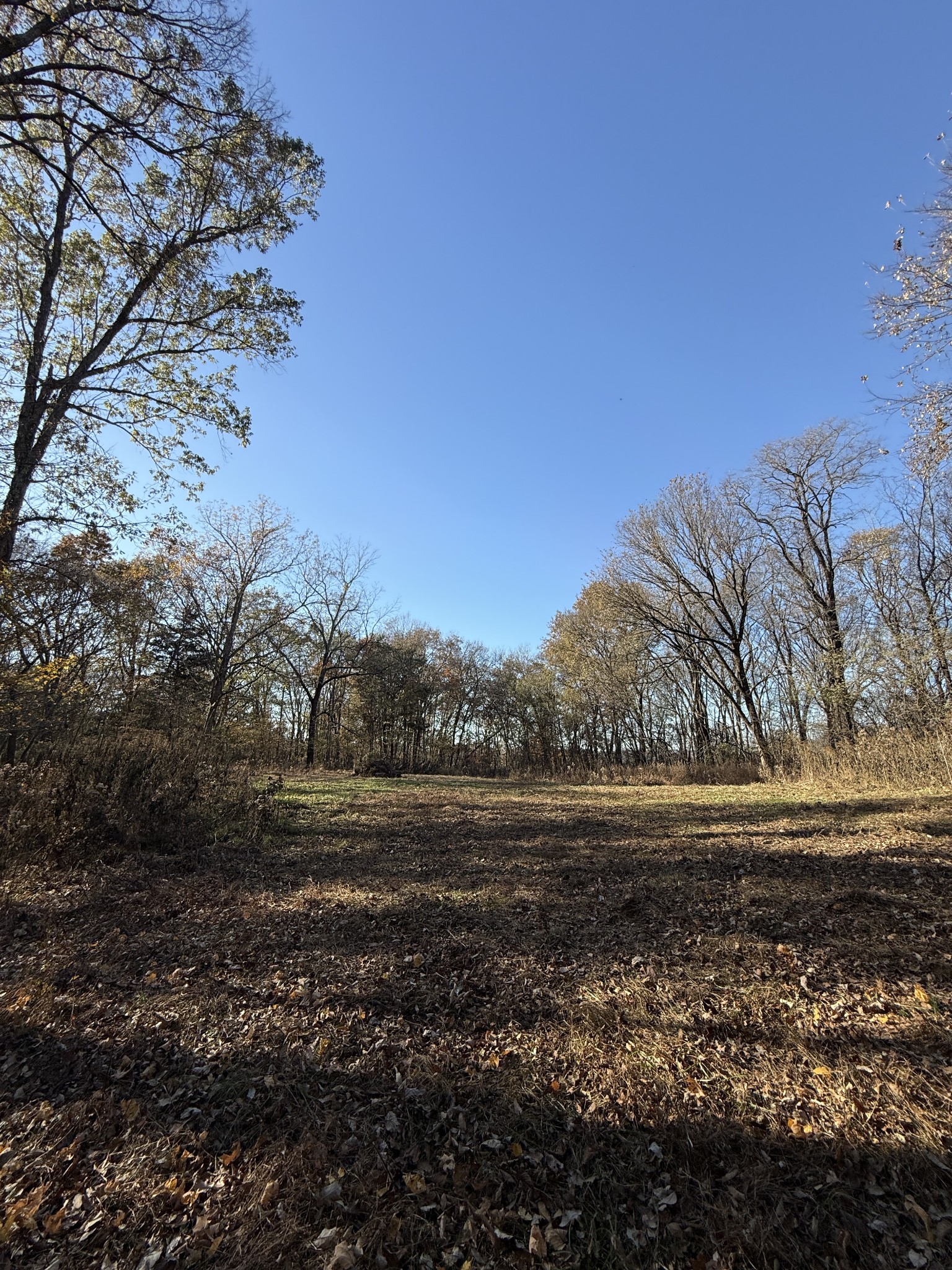 0 Toll Dugger Road Culleoka, TN 38451 - Photo 38 of 93 a view of a yard